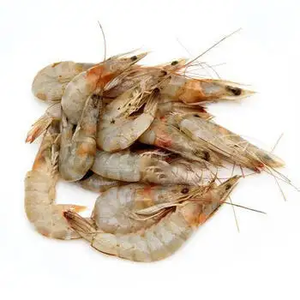 Crevettes Vannamei surgelées (procédé BQF) disponibles - Product Image 6