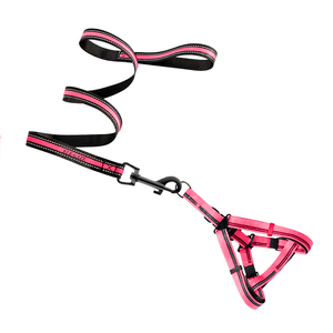 Elegante Set Pettorina e Guinzaglio per Animali Domestici in Nylon Confortevole per Addestramento e Passeggiate di Lusso, Traspirante, Taglia XL, Fantasia a Righe Solida - Product Image 2
