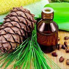 Huile de cèdre 100% pure de haute qualité en gros, fabricant d'huile de cèdre 100% pure et naturelle, meilleure huile de cèdre en INDE - Product Image 5