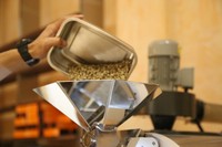 Máquina Tostadora Automática Industrial de Café Frío, Equipo de Muestra para el Procesamiento de Granos de Café, Venta al por Mayor, Fabricante Vietnamita LBN