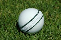Meilleure vente d'amazon, Club en cuir blanc, balle lourde pour les joueurs de grillon professionnels