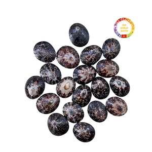 Cristal de Martini de concha natural de alta calidad para resort tropical y celebración costera elegante - Product Image 1