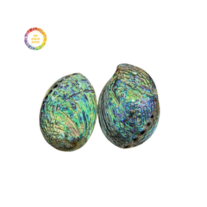 Suministro a granel de concha de abulón Premium para arte decorativo y exportación Shellcraft en todo el mundo - Product Image 4