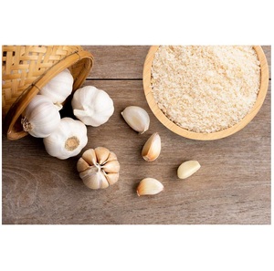 High-Quality Organic Garlic Powder Premium Dehydrated <b>Spice</b> for Cooking Seasoning and Food Industry Use from India - Product Image 1