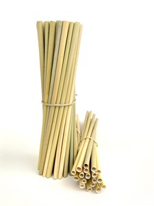 OFERTA ESPECIAL DE 99D - Pajitas Desechables de Fibra Vegetal para Bebidas, Material Sostenible con la Mejor Cotización para Importadores - Product Image 4