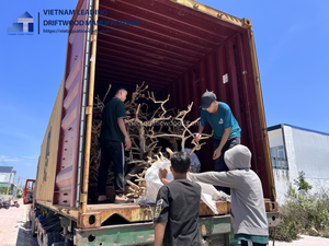 Best Seller Classic Java Wood <b>Bird</b> <b>Perch</b> Stand Coffee Wood Play Stands for Parrot Toys Direct Wholesale Vietnam Manufacturer - Product Image 5