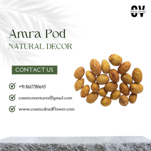 Flor Seca Natural de Amra de Alta Calidad, Elegante y Moderna, Decoración Ecológica, Flor Seca Exótica para Decoración del Hogar, Bodas y Navidad - Product Image 2