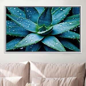 Impression sur toile de plantes succulentes modernes, art mural botanique pour la maison, toile encadrée blanche - Product Image 1