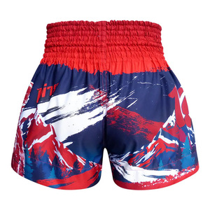 Best Selling Comfortable Custom Logo Silk <b>Polyester</b> Quick Dry Breathable Boxing <b>Shorts</b> For Plus Size Adults Premium Design Wear - Product Image 2