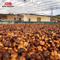 Yeşil kahve çekirdekleri Robusta S16 gelen Buon Me Thuot Vietnam yüksek kaliteli ham kahve işleme bal yıkanmış satılık