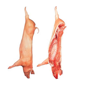 Fabricant et fournisseur en gros de porc congelé coupé en 4 parties / porc coupé en 6 parties / carcasses de porc en gros à acheter en ligne - Product Image 4