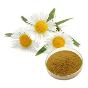 Apigenin Extract Powder Supplement Natural Pure Price Chamomile Extract 98% Apigenin
