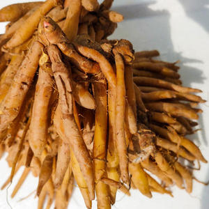 Suministro de Raíz de Krachai OEM para Marcas de Marca Privada y Distribuidores Globales - Product Image 1