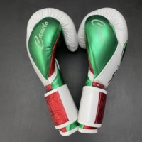 No Boxing No Life Guantes de Boxeo Profesionales con Cordones, Cuero Vacuno de Primera Calidad, Acolchado Grueso de 4 Capas, Transpirables y que Absorben la Humedad