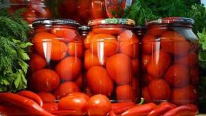 Tomates Cherry en Conserva - Delicia de Tomate Rubí - Producto de Tomate para Exportación - Tomate para Cocinar - Product Image 5