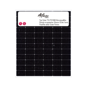 Panneau solaire monocristallin en silicium Top Solar TS-FS100M - Product Image 2