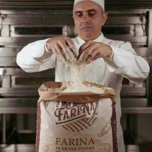 Farine de blé tendre tout usage de haute qualité, fabriquée en Italie, qualité supérieure, 25 kg en sac en papier, pour pizza napolitaine - Product Image 4