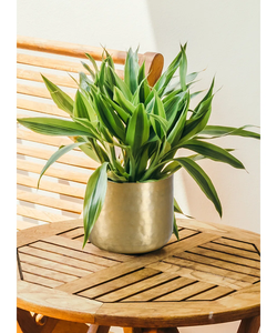 Maceta martillada con luz de diseño increíble, soporte de flores, lo mejor para decoración de mesa de recepción, maceta antideslizante con acabado dorado de hierro - Product Image 2