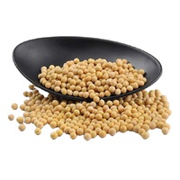 Soja Jaune Clair Non-OGM de Qualité Supérieure, Frais, Séché, Grade Export, Origine NL, 13%