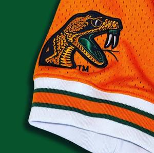 Camiseta de Béisbol Clásica FAMU, Camiseta Deportiva Informal, Camiseta Deportiva Personalizada de Algodón - Product Image 3