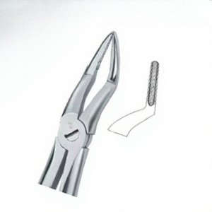 Fórceps de extracción de dientes Fig.51 Diam Productos de logotipo personalizado de alta calidad Instrumentos dentales de acero inoxidable de alta calidad - Product Image 1