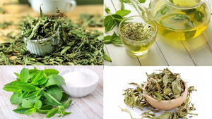 Suministro de hojas de stevia de alta calidad para té/polvo/materias primas a granel desde Vietnam desde 99 Gold Data - Product Image 4