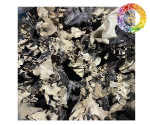 Champignons séchés de qualité supérieure du Vietnam, champignons d'oreille de bois naturels, champignons noirs, norme d'exportation pour le marché, champignons séchés - Product Image 1