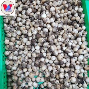 Champignons en conserve entiers en saumure, prêts à consommer, qualité supérieure, origine Vietnam, vente en gros, OEM, export, fournisseur de marques privées - Product Image 3