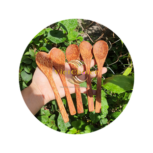 Cuillère à noix de coco faite à la main de haute qualité pour yaourt aux fruits technique personnalisée jetable écologique Viet Nam vente en gros Viet Choice - Product Image 6