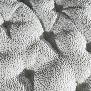 ที่นอนดูอัลลิตี้ท็อปเปอร์ 25 ซม. พรีเมียมเทนเซล ทัลลาเลย์ ลาเท็กซ์ ไฮบริด คอมฟอร์ท โฟม คอร์ ปรับแต่งได้ ทนทาน หรูหรา สำหรับธุรกิจ B2B - Product Image 4