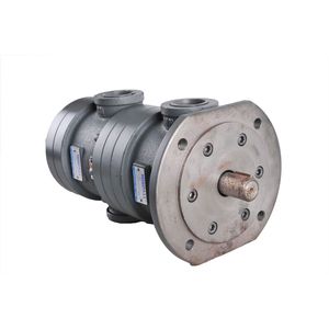 Kompass ปั๊ม self-priming อุตสาหกรรมปั๊มคู่การกระจัดคงที่ - Product Image 6