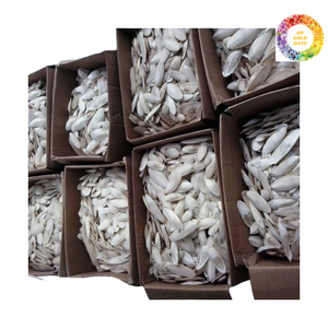 Hueso de sepia seco a precio al por mayor, hueso de sepia secado al sol natural, origen de Vietnam, por 99 DATOS DE ORO - Product Image 1