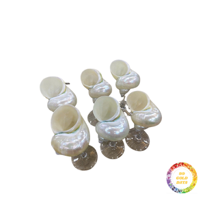 Verres à pied en coquille naturelle pour l'affichage de cocktails inspirés de l'océan Décoration artistique Curation Coastal Lifestyle Visual Merchandise - Product Image 6