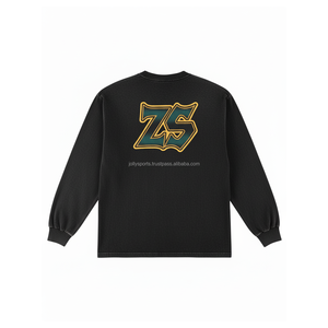 Premium 360 GSM coton polaire sweat doux tissu brossé Logo personnalisé broderie à manches longues Streetwear basics sweat - Product Image 2