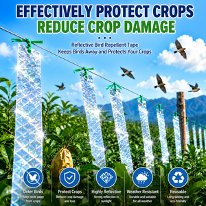 Cinta reflectante sólida de 100 m para ahuyentar aves, repelente de palomas y zorros para exteriores, cinta holográfica de doble cara para jardín, huerto y campo. - Product Image 1
