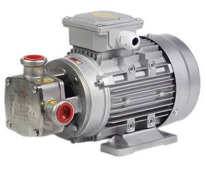 مضخة وقود إلكترونية كهربائية من الألومنيوم بجهد 12 فولت تعمل بالديزل/الزيت الحيوي منخفضة الضغط مضخات مستنقع بنزين للسيارات OEM قابلة للتخصيص - Product Image 6