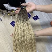 Cheveux en vrac pour le tressage 100% cheveux humains pas d'enchevêtrement pas de perte du Vietnam Premium Double dessiné brut non traité Afro 100g échantillon