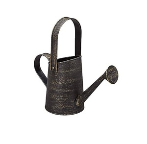 บัวรดน้ำออกแบบใหม่สำหรับสวนในบ้านและสวนทุกวันสามารถทำได้โดยใช้เหล็กและทองเหลืองเคลือบสังกะสี - Product Image 1