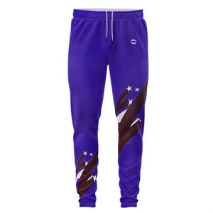 Chándales de cricket Uniforme de cricket de entrenamiento para adultos de calidad premium disponible en todos los tamaños para ropa deportiva - Product Image 4
