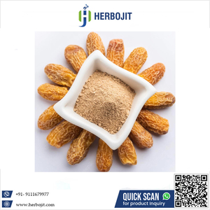 Herbojit International Indian Supplier Super Quality Spray Dried Dates Powder 12 Month <b>Shelf</b> Life at Wholesale Market Price - Product Image 6