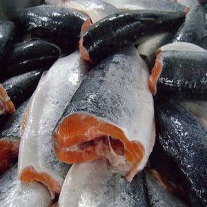 Filete de Salmón Rosa Orgánico Grado A+ con Piel, 300-1000g, Empacado en Caja o Bolsa para Exportación desde China - Product Image 5