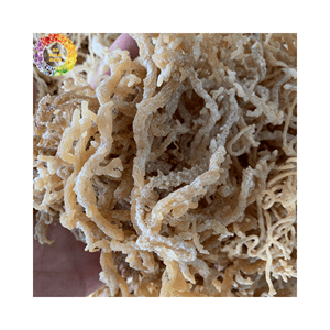 มอสทะเลแห้งธรรมชาติสาหร่ายมอสไอริชสีทองสำหรับเจล Seamoss chondrus Crispus แบบไม่ใส่เกลือบรรจุ25กก. - Product Image 6