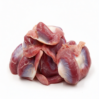 Gésiers de poulet congelés halal de qualité supérieure Pride |   Gésiers de poulet panés crus à vendre |   Fournisseur de volailles congelées en gros