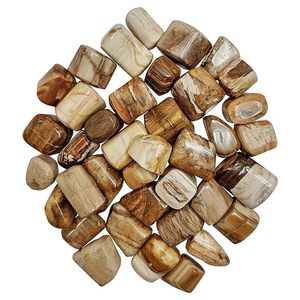 Pierres de culbutage en bois pétrifié naturel Cristaux de guérison polis Reiki Chakra Équilibrant les pierres semi-précieuses - Product Image 1