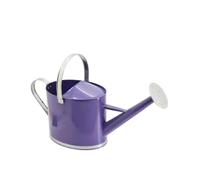 บัวรดน้ำโลหะสามารถออกแบบให้ทันสมัยสำหรับรดน้ำต้นไม้ด้วยต้นทุนที่ต่ำที่สุด - Product Image 6