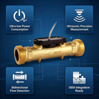 Module de capteur de débit ultrasonique sans pièces mobiles, sortie d'impulsions RS485, IP68, pour centre de données IA, refroidissement liquide, compteur d'eau, OEM