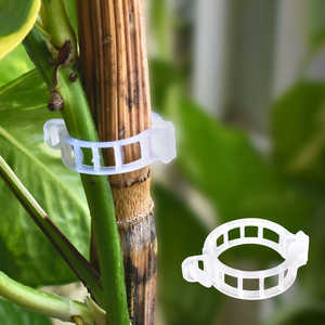 Agricultural Plastic Garden Clips Plant <b>Support</b> Trellis and Vine Clips for <b>Tomatoes</b> Vegetables <b>Tomato</b> Clips for Garden <b>Support</b> - Product Image 6