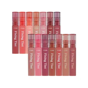 Etude House all'ingrosso coreano Best Seller Lip Tin impermeabile fissaggio tinta 4g