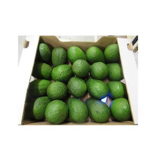 Aguacate orgánico Hass de alta calidad, suministro a granel fresco, precio barato, variedad de cultivo Hass - Product Image 4