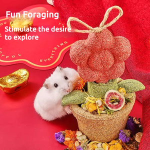 แพ็กเกจอาหารหนูแฮมสเตอร์ที่ใส่ฟันที่เป็นมิตรกับสิ่งแวดล้อมส่วนผสมจากพืชสามารถปรับแต่งได้ - Product Image 5